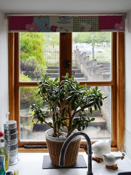 Foresters Inn Cottage Parkend Εξωτερικό φωτογραφία